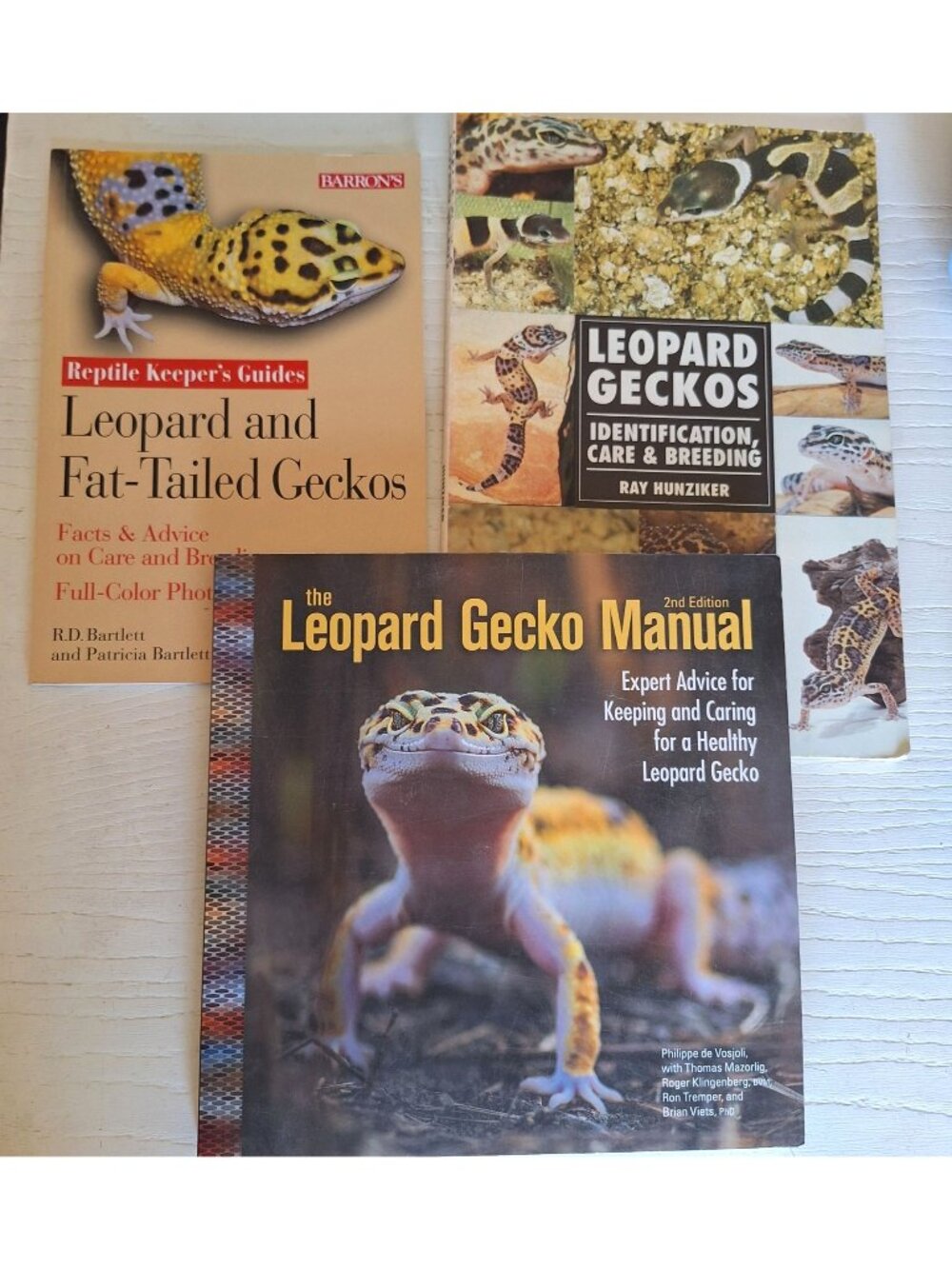 Leopard Gecko Fat Tailed Care Breeding Book Identification Maintenance Book Lot